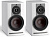 DALI Rubicon 2 C White + Sound HUB BluOS