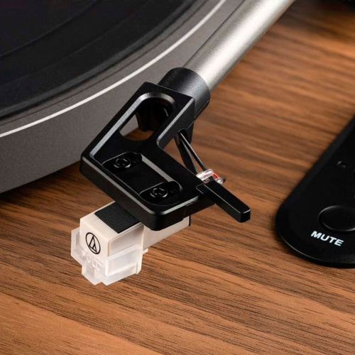 Phaze Audio Diana Walnut