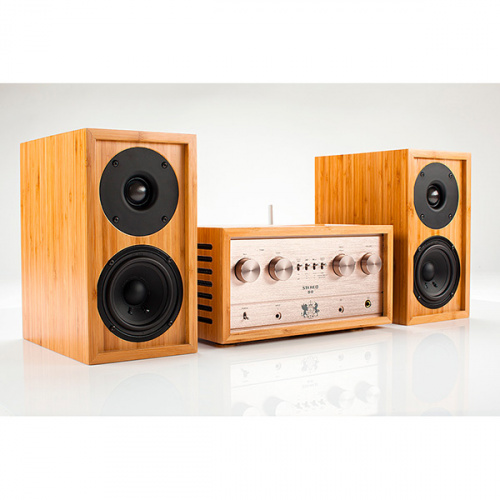 iFi Retro Stereo 50 + LS3.5