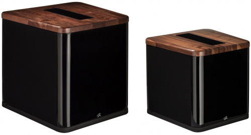 Martin Logan BalancedForce 212 Gloss Black Cherrywood Martin Logan BalancedForce 212 Gloss Black Cherrywood