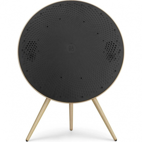 Bang & Olufsen Beosound A9 5th Generation Gold Tone