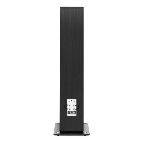 Triangle Esprit Antal EZ Black Ash