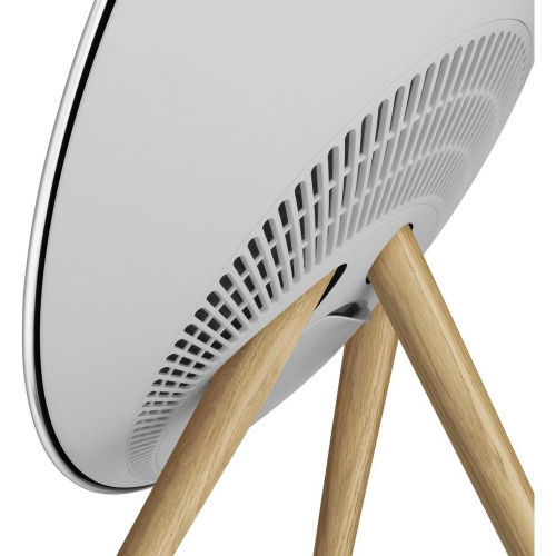 Bang & Olufsen Beosound A9 5th Generation Natural Aluminium