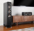 Polk Audio Signature S60e Black