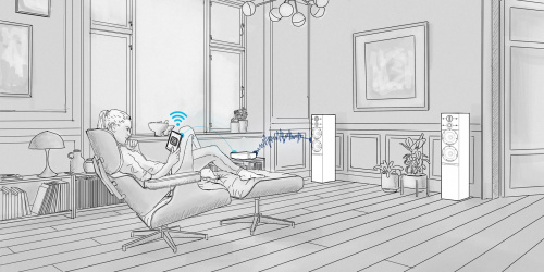 DALI Rubicon 2 C Black + Sound HUB BluOS