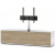 Sonorous ST 161F WHT MOL BS