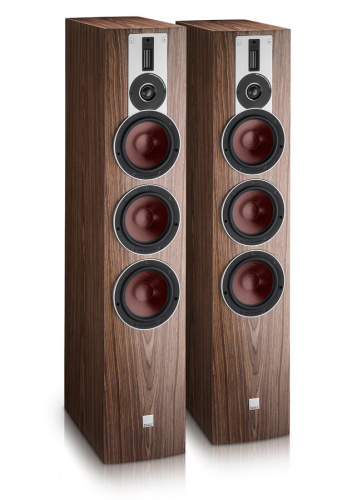 DALI Rubicon 8 Walnut