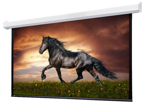 Draper Targa HDTV (9:16) 338/133" 165*295 XT1000E (MW) ebd 30