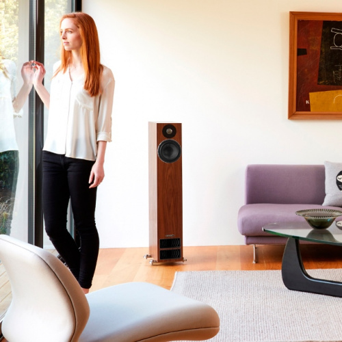 PMC Twenty 5.24 High Gloss Black