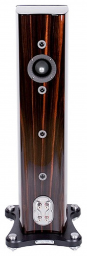 Monitor Audio Platinum PL200 II Black Gloss