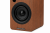 Premiera RS-301A Walnut