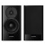 Dynaudio XEO 20 Satin Black